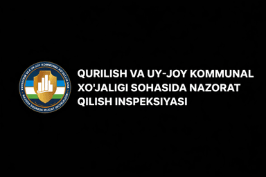 Inspection logo